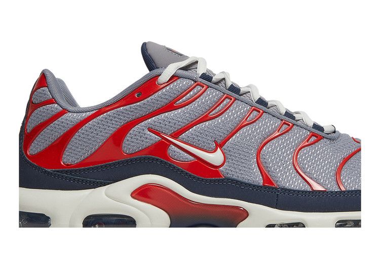 Nike Air Max Plus USA Grey
