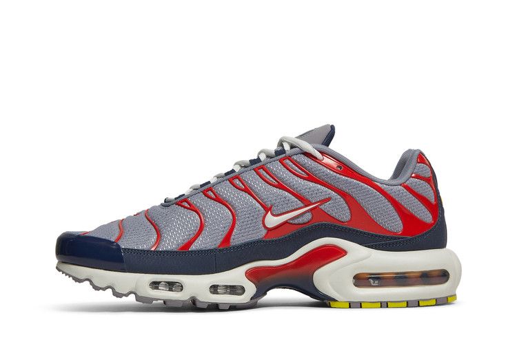 Nike Air Max Plus USA Grey