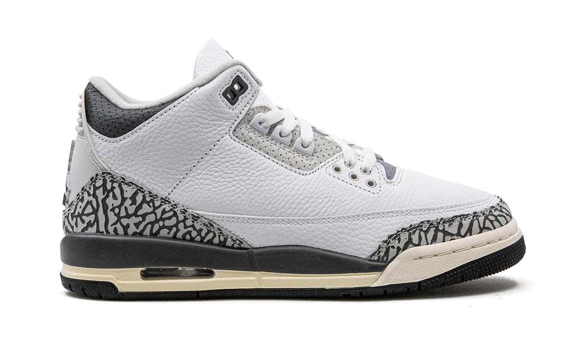 Air Jordan 3 GS "Hide N Sneak" DX6665 100