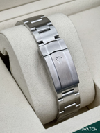 NEW 2026 Rolex Oyster Perpetual 41mm 134300 Silver Dial