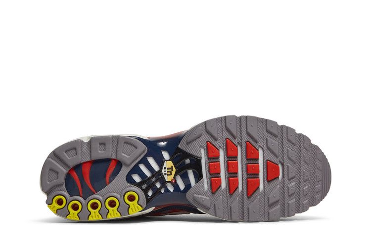 Nike Air Max Plus USA Grey