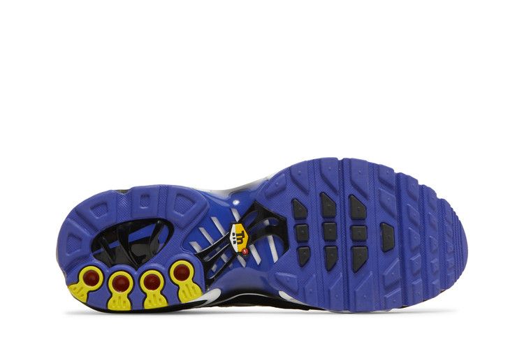 Nike Air Max Plus Persian Violet (GS)