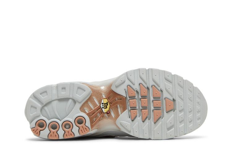 Nike Air Max Plus Pure Platinum Metallic Gold (GS)