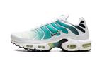 Air Max Plus WMNS "Dusty Cactus Barely Volt" DZ3670 102
