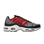 Nike Air Max Plus Striped Black White