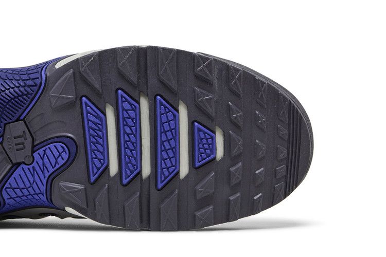 Nike Air Max Plus Drift Concord