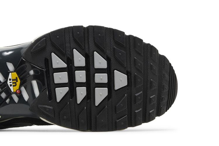 Nike Air Max Plus Greyscale Cool Grey