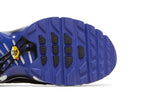 Nike Air Max Plus Persian Violet (GS)