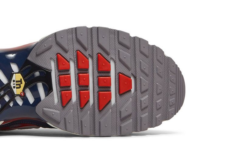Nike Air Max Plus USA Grey