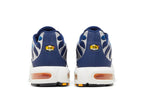 Nike Air Max Plus Sky Blue Laser Orange