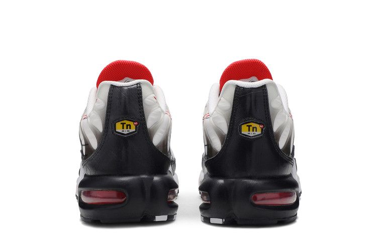 Nike Air Max Plus Graphic Paper