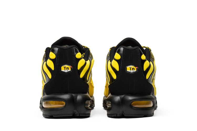Nike Air Max Plus Frequency Pack