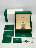 NEW 2026 Rolex Oyster Perpetual 41mm 134300 Pistachio Dial
