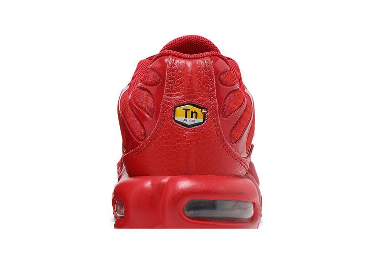 Nike Air Max Plus University Red Chile Red