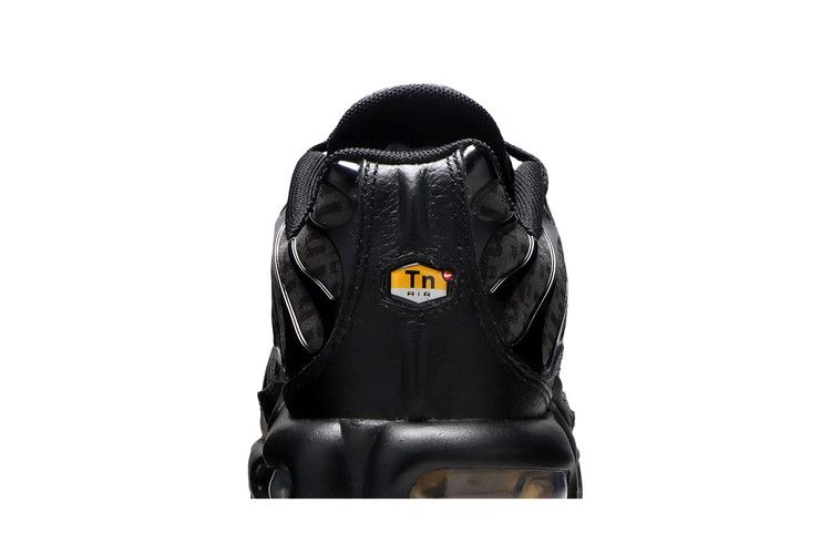 Nike Air Max Plus Black TN Pattern