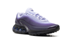 Air Max Dn WMNS "Dark Raisin Dusty Amethyst Black Amethyst Tint" HQ4050 500
