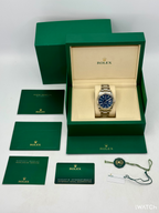 2026 Rolex Sky-Dweller 42mm 336934 Oyster Blue Dial