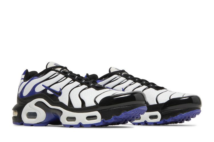 Nike Air Max Plus Persian Violet (GS)