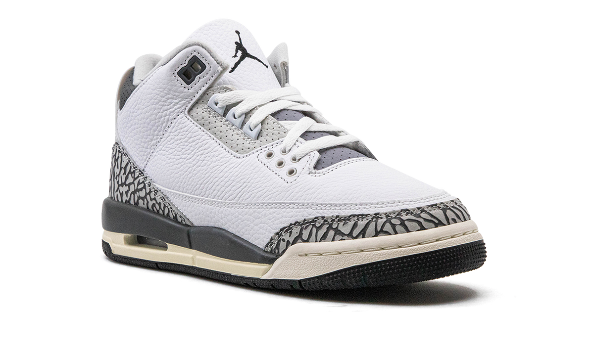 Air Jordan 3 GS "Hide N Sneak" DX6665 100