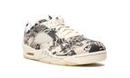AIR JORDAN 5 LO WMNS "Expression" DA8016 100