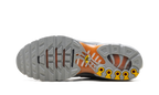 Air Max Plus "Light Smoke Grey Hot Curry" DM0032 037