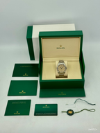 NEW 2026 Rolex Oyster Perpetual 41mm 134300 Beige Dial
