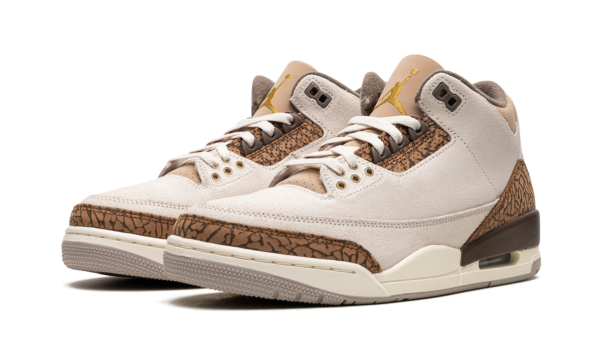 Air Jordan 3 "Palomino" CT8532 102