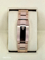 NEW 2026 Rolex Sky-Dweller 42mm 336935 Rose Gold Oyster Blue Dial