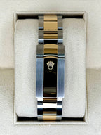 2024 Rolex Sky-Dweller 42mm 336933 Oyster Champagne Dial