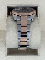 2017 Rolex Datejust 41mm 126331 Two-Tone Rose Gold Chocolate Dial