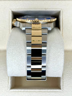 2023 Rolex Submariner "Bluesy" 41mm 126613LB Two-Tone Blue Dial