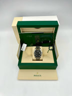 2023 Rolex Datejust 41mm 126300 Oyster Wimbledon Dial