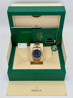 2023 Rolex Sky-Dweller 42mm 336935 Rose Gold Blue Dial