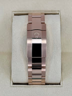 2023 Rolex Sky-Dweller 42mm 336935 Rose Gold Blue Dial