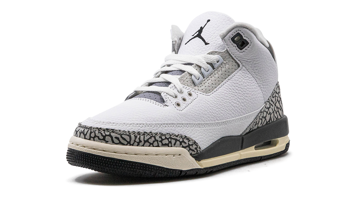Air Jordan 3 GS "Hide N Sneak" DX6665 100