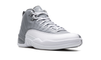 Air Jordan 12 "Stealth" CT8013 015