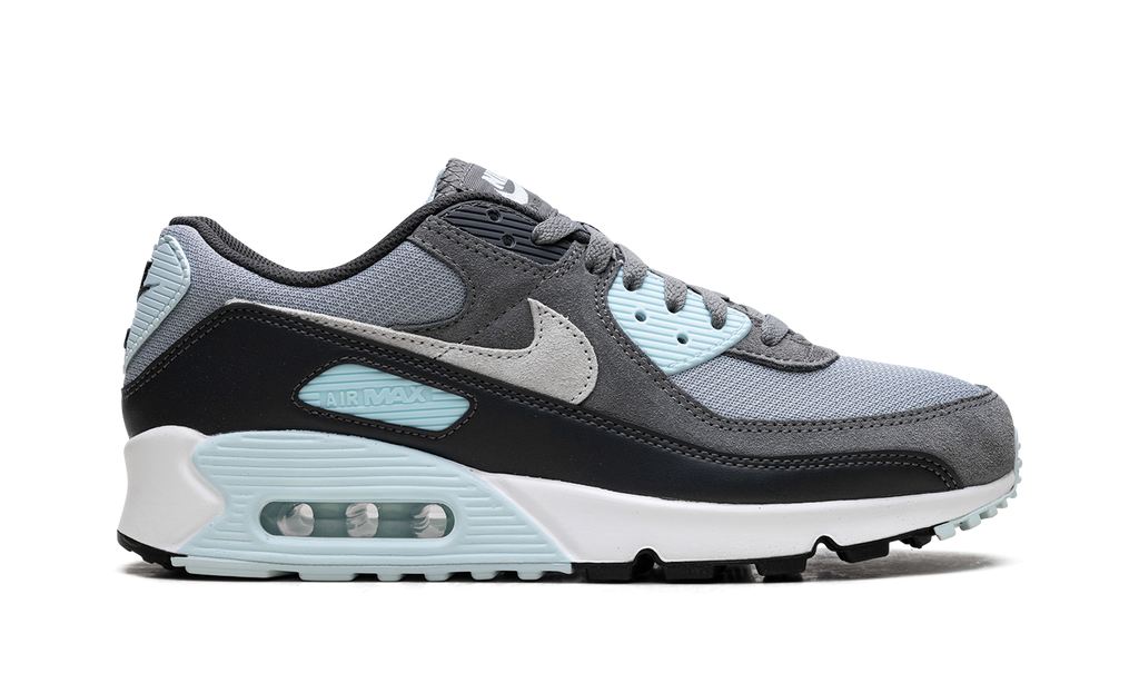 Air Max 90 "Pumice" DM0029 009