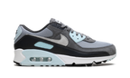 Air Max 90 "Pumice" DM0029 009