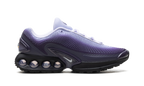 Air Max Dn WMNS "Dark Raisin Dusty Amethyst Black Amethyst Tint" HQ4050 500