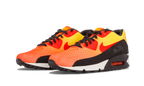 Air Max 90 EM "Sunset Pack" 554719 887