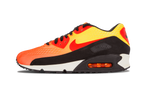 Air Max 90 EM "Sunset Pack" 554719 887