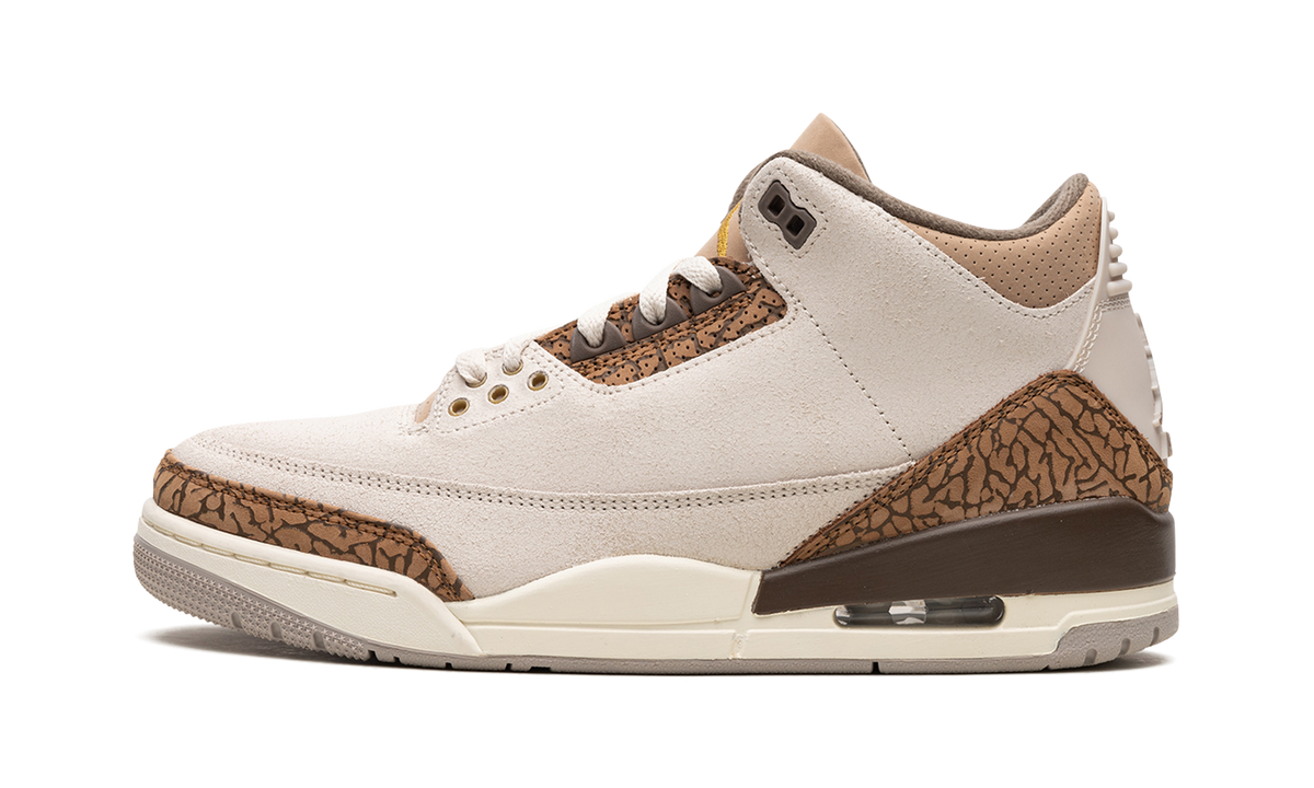 Air Jordan 3 "Palomino" CT8532 102