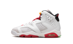 Air Jordan 6 Retro GS "Hare" 384665 062