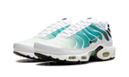 Air Max Plus WMNS "Dusty Cactus Barely Volt" DZ3670 102