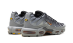 Air Max Plus "Light Smoke Grey Hot Curry" DM0032 037