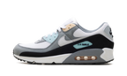 Air Max 90 "Cool Grey Pure Platinum Black" IB7674 001