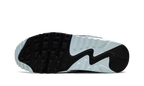 Air Max 90 "Pumice" DM0029 009