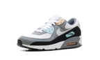 Air Max 90 "Cool Grey Pure Platinum Black" IB7674 001