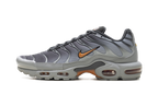 Air Max Plus "Light Smoke Grey Hot Curry" DM0032 037