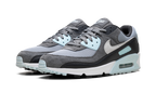 Air Max 90 "Pumice" DM0029 009